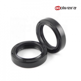 Retentor 45x60x16mm BRG VITON