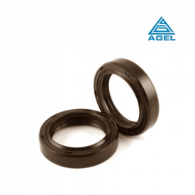 Retentor 19x32x7mm BRG Viton