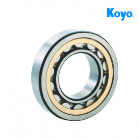 Rolamento de Rolos Cilíndricos de 1 Carreira NU2305 - 25x62x24mm