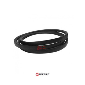 Correia A61