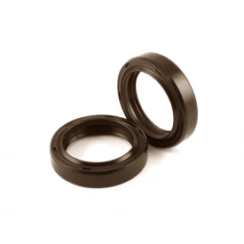 Retentor 16x26x5/6mm BRG VITON 