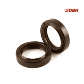 Retentor 38x55x8mm H BRG VITON