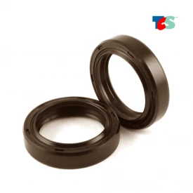Retentor 10x21x5mm BRG VITON 