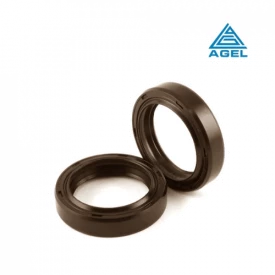 Retentor 19x32x7mm BRG Viton