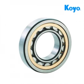 Rolamento de Rolos Cilíndricos de 1 Carreira NU309N - 45x100x25mm