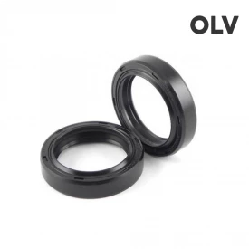 RETENTOR 60X80X10MM
